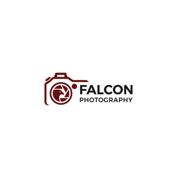 Falcon photography logo vector