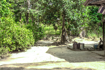 Blurred nature background of home garden vegetables (eggplant, guava) can be used to cook.
