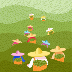 vector image of tea pickers. people in colored hats and colored clothes with baskets of leaves