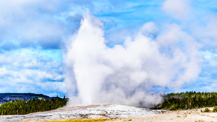 Eruption of the famous Old Faithful Geyser a Cone Geyser in the Upper Geyser Basin along the Continental Divide Trail in Yellowstone National Park, Wyoming, United States