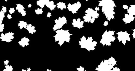 Falling Autumn leaves on black background for Thanksgiving Halloween party. 3D rendering