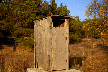 shabby wooden toilet stands in the forest.