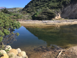 Natural habitat and reflections of the Douglas preserve at Arroyo Burro Beach park in Santa...