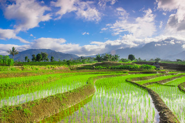 Fototapeta na wymiar long exposure rice terraces in the morning with bright sky and beautiful sun