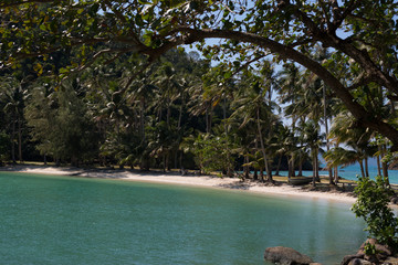 Tropical island beach with coconut palm trees. Sand spit in the sea.