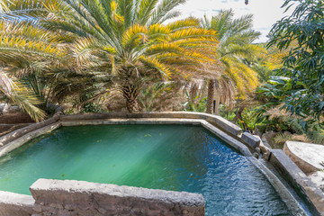 Misfat al Abriyyin in the Hajar Mountains, Oman. - Date palm tree oasis and water spring at Misfah...