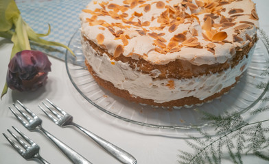 Ozean Mandarinentorte, Trümmertorte in der Nahaufnahme