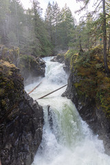 Vertical Shot of the Little Qualicum Falls Provincial Park in Spring, 2019 Vancouver Island, B.C.