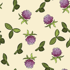 Red clover botanical boho seamless pattern. Victorian flowers cote cozy wallpaper print. Vector illustration cartoon style boho texture background tile