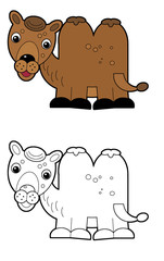 cartoon scene with camel on white background illustration