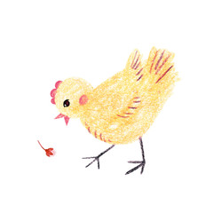 Chick with little flower on a white background. Drawing with colored pencils.