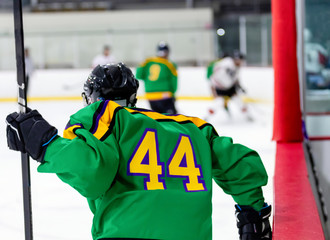 Fototapeta premium Hockey player Getting on the Ice