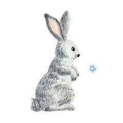 Rabbit with little flower on a white background. Drawing with colored pencils.