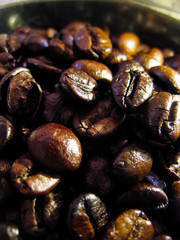 coffee bean roast with long time and high temperature for maximum test of coffee.