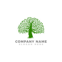 Modern vector Tree logo template