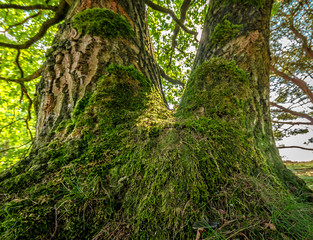 In der Heide in Haltern