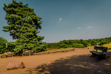 In der Heide in Haltern