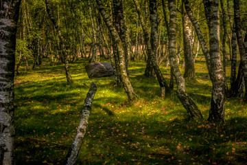 In der Heide in Haltern