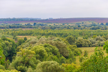 Fototapeta na wymiar Summer landscape with green hills, trees and fields