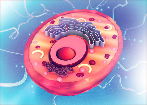 Cell anatomy on scientific background. 3d illustration.