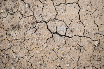 Brown soil that is dry and cracked in the top view