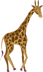 Naklejka premium giraffe on white background