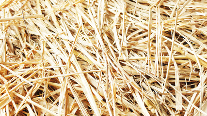 Rice straw bales after collecting in the rice field