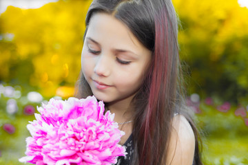 Naklejka premium Flowering peonies. Beautiful Caucasian girl with long brunette hair in a botanical garden where bright pink and white peonies bloom. Nature and relaxation. Botanical Garden. Flowers