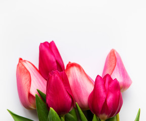 Obraz premium Beautiful tulips bouquet