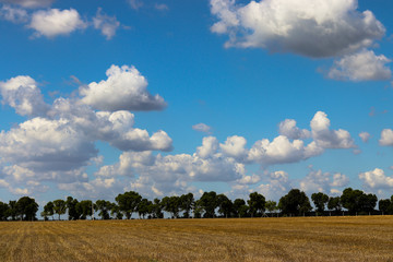 widok na wsi pole niebo chmury  lato © Piotr