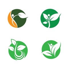 Leaf  logo vector icon