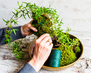 Making kokedama with moss and ivy.