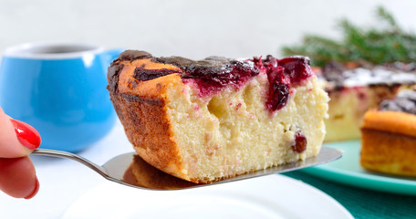 Piece of cottage cheese pie with cherries and chocolate drops. Close up