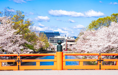 春の京都　琵琶湖疏水と慶流橋　ワイド