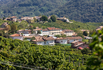 Picturesque hills with vineyards of the Prosecco sparkling wine region between Valdobbiadene and Conegliano; Italy.