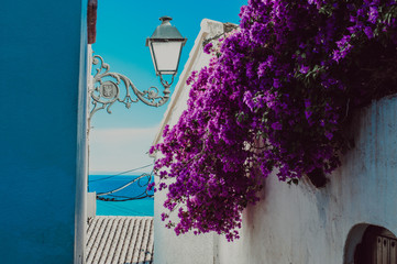 Altea la bella
