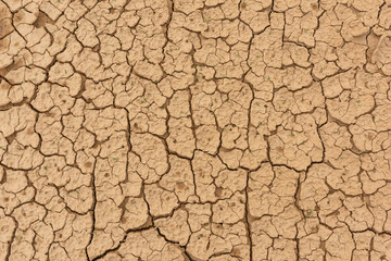 dry cracked earth