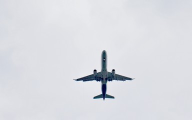 Fly away