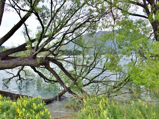 Lake Wakatipu