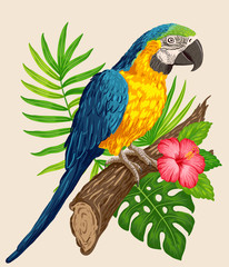Parrot macaw with tropical plants