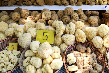 Greek souvenir - sea sponge in the bazaar of Symi island