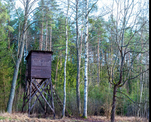 vintage hunter hut in forest. Hunter post to watch and shoot at wild animals.
