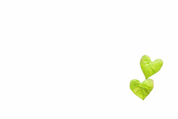 green heart leaf isolated on white background