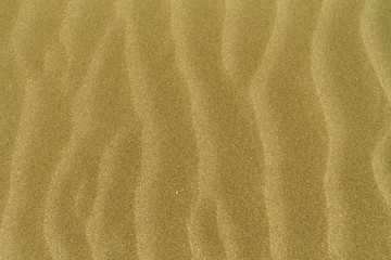 Fototapeta na wymiar Yellow sand ripples texture