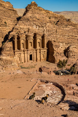Ancient amphitheater and two defocused cats at the stunning Ad-Deir in ancient city of Petra,...
