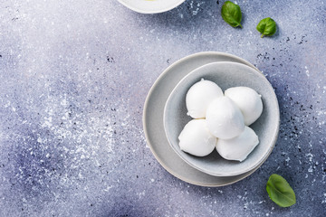 Italian cheese mozzarella