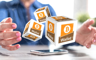 Concept of bitcoin wallet