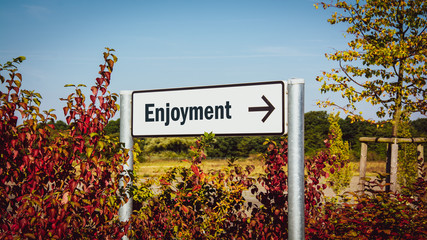 Street Sign to Enjoyment