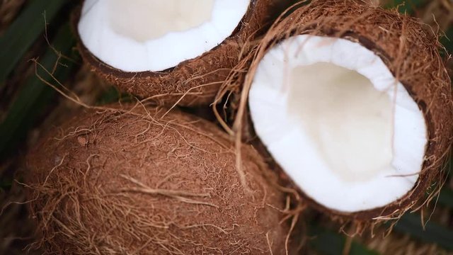 Ripe coconuts on palm branch, rotating background. Top view. Tropical fruit. Healthy food, skin care concept. Coconut water and milk. Vegan food.