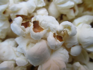 popcorn on white background